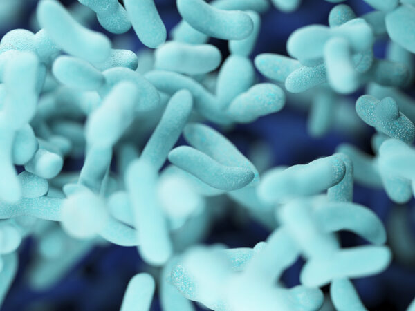 microscopische afbeelding van een bacterie