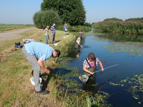 Mensen in een waadpak in het water met een schepnet.