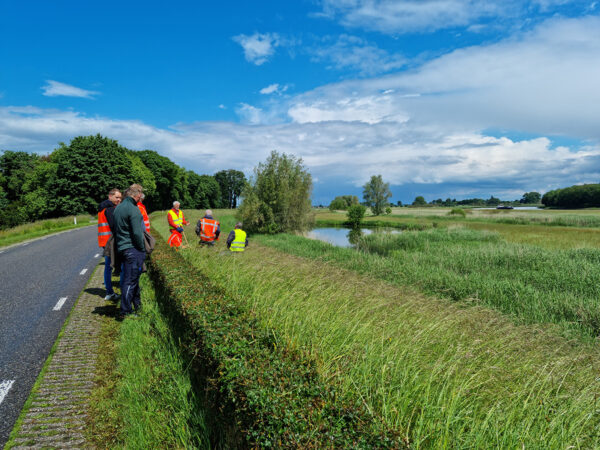 Personen langs een weg in het grasveld.