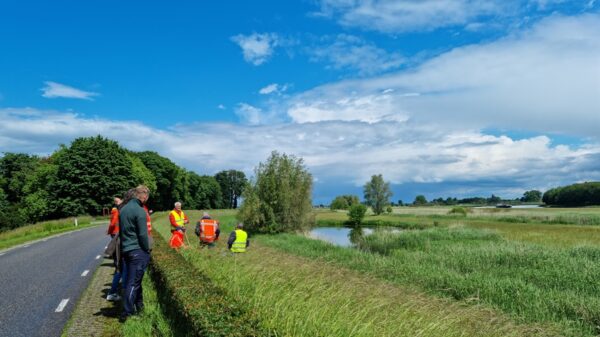 mensen in de berm langs een weg